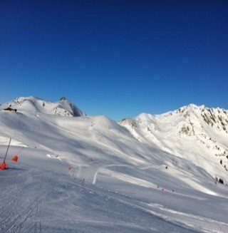 Management, Austrian native, Germany located