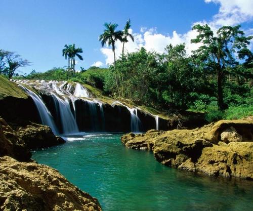 talltrees51's profile picture. سبحان الله وبحمده سبحان الله العظيم..