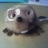 artfclintll's profile image