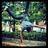 mystra_sun's profile image