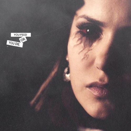 Hey, twitter dedicated to @ninadobrev. I also freakin love The Vampire Diaries and I have crush on @iansomerhalder. Delena always and forever.