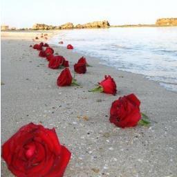 ‏‏ويبقى الياسمين ابيض مهما خانته الفصول، يوما ما... سيتركك الجميع فجاءة، لذلك تعلم العيش وحيدا....!