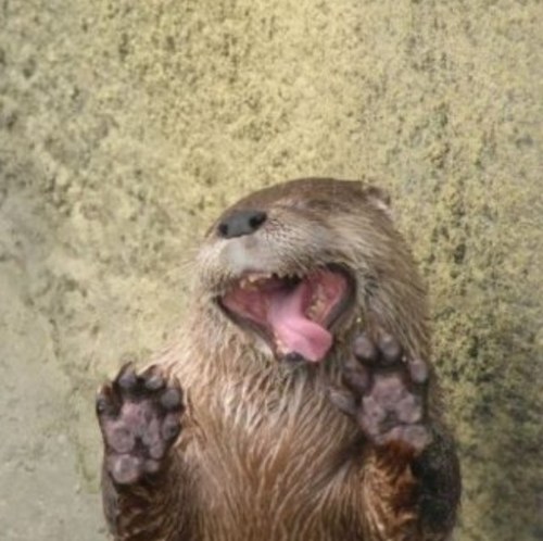 J_Money511's profile picture. 