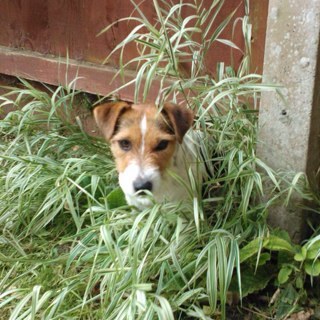 Mordan3's profile picture. 