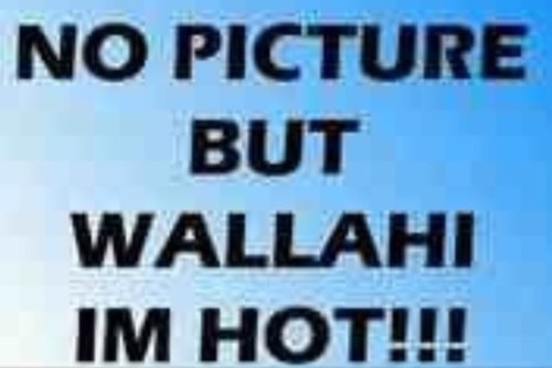 MurtazaSaffi's profile picture. Heads I Win, Tails You Lose.