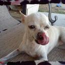 melissa arenas - @MelissaArenas13 - Twitter