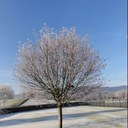 Jiang Di - @di_jiang - Twitter