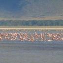 Angela Carroll - @ac_angel1 - Twitter