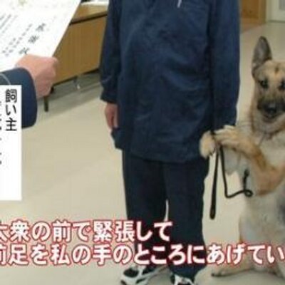 寒いギャグでエコ生活 三宅裕司の奥さん爆笑伝説8 通販の注文を電話でしている時の事 電話受付の人に名前を言い どんな漢字ですか と聞かれ 奥様は 奥様の雰囲気が どんな感じですか と聞かれたと勘違いして マダム風かしら と答えたそうです 寒いギャグでエコ生活 三宅裕司の奥さん爆笑伝説8 通販の注文を電話でしている時の事 電話受付の人に名前を言い どんな漢字ですか と聞かれ 奥様は 奥様の雰囲気が どんな感じですか と聞かれたと勘違いして マダム風かしら と答えたそうです