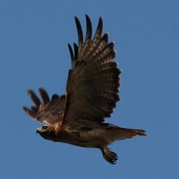 1Cor1623's profile picture. My love be with you all in Christ Jesus. Yea, I mean it.