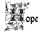 Tami Bush - @TJBP - Twitter