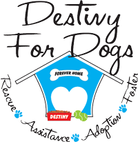 destinyfordogs's profile picture. Destiny For Dogs is dedicated to assisting seniors in keeping their beloved dogs in their homes. Destiny is active in rescue and placement of dogs in need.