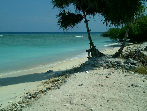 infolombok1's profile picture. Jangan patah semangat tetap optimis