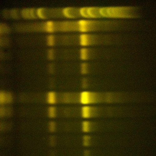 GilesLabUAB's profile picture. We are a small lab (for now?) studying all things molecular biology, chromatin and genomics.