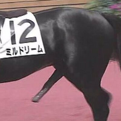 馬並硬太on Twitter ま 馬並硬太on Twitter ま