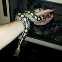 Roy Barnardo - @WroyBob - Twitter