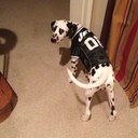 Morgan Beck - @mebeck19 - Twitter