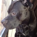 michael mejia - @cheeksmastamike - Twitter