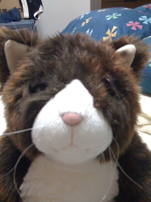 JeanAlesi's profile picture. 医師、医学博士、日本内科学会認定医、日本リウマチ学会専門医、日本リウマチ学会評議委員。本を買うのが趣味です。アマゾンで週に3回くらい買い物をしています。読み切れないほどの本があって、とてもシアワセです。世界中のいろいろなところへ旅行するのも好きです。