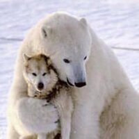 Joe Justice (@joetullydiver) 's Twitter Profile