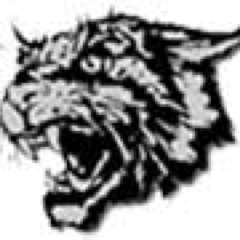 East Chapel Hill High School's Eastside : come get rowdy with us at all of our games this year