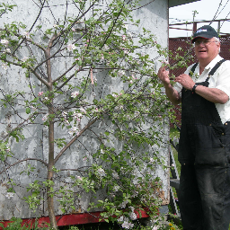 Ex-prof et ex-chargé de mission au gouv du QUÉBEC, SOUVERAINISTE, amateur de plein air, coureur des bois et JARDINIER passionné