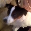 janet eckman - @eckmanj - Twitter