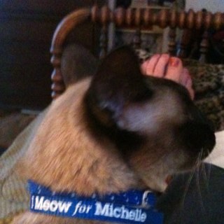 bonniebberry's profile picture. Event and VIP logistics expert working Special Assistant now at American University formerly at Smithsonian institution