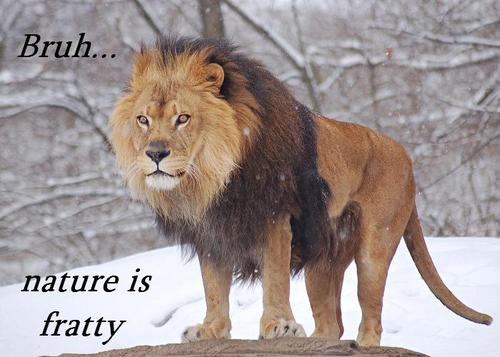 Nature is so fratty. Just look around you.