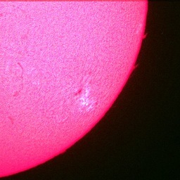 PINKJAPANESE's profile picture. 