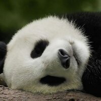 Krutik Arekar (@ankrutik) 's Twitter Profile