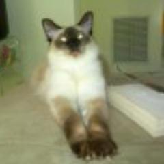 das8665's profile picture. PR Pro and Pop Culture Addict