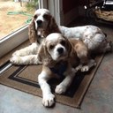 Maryann Fleming - @penmax - Twitter