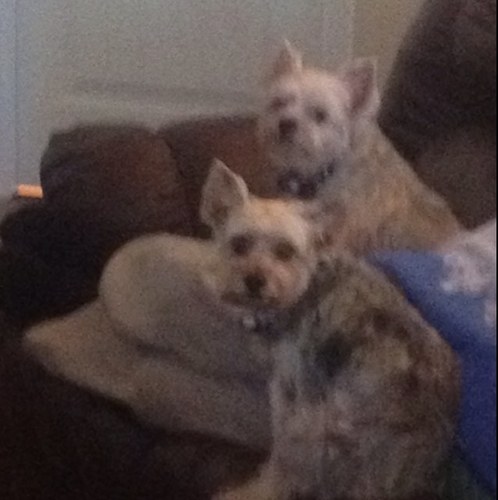 cyclemm's profile picture. 