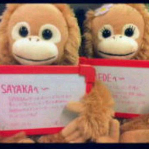 adusachan's profile picture. 