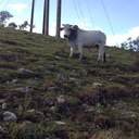 Efren Trujillo - @efrentrujillos - Twitter