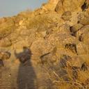 Mary Hoadley - @MaryEBHoadley - Twitter