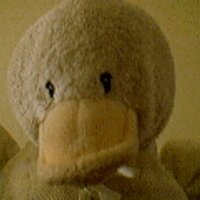 Paul Buck Rogers (@paulbuckrogers) Twitter profile photo