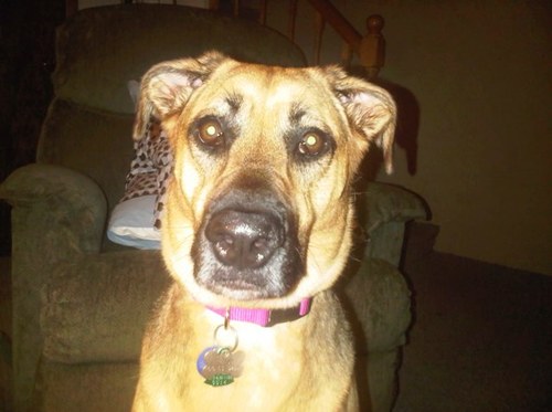 JLC0105's profile picture. Attorney, sports fan and political junkie