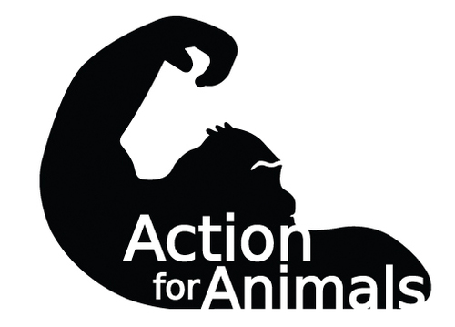 actionanimals's profile picture. 인간의 오락을 위해 야생동물을 이용하는 모든 행위에 반대하는 국내최초의 동물원복지 전문단체입니다.