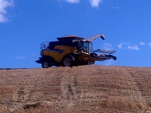 farmingproblems's profile picture. 