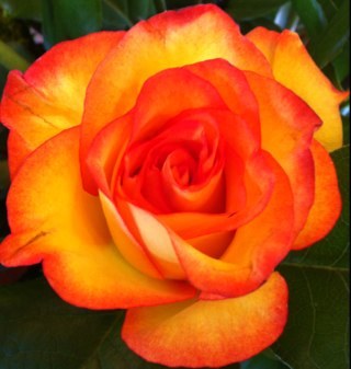 kzb24's profile picture. Love my faith, my family, my fellowship, my silhouette & of course papercrafting