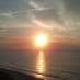 Yolanda Jarrett (@ysjarrettcareer) Twitter profile photo Yolanda Jarrett (@ysjarrettcareer) Twitter profile photo