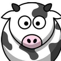 An Elite force, never scared, seeking truth & justice whilst being the best they can be. Cow's speak from the heart, they are rude guys just trying to get by.