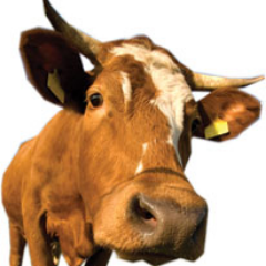 troybrew's profile picture. 