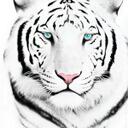 Amanda Herndon - @AngelSiren20 - Twitter