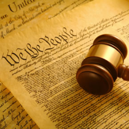 SloConstitution's profile picture. One supreme word per federal day. Read the whole thing (yolo!), then stay tuned for the Bill of Rights in 2025-28!