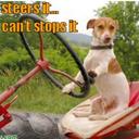 Alexander Worrall - @AlexWorrallTAFE - Twitter