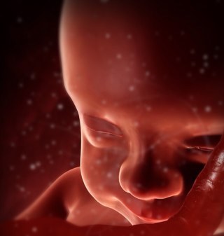 eco4d's profile picture. medico ginecología obstetricia en Monterrey #eco4d #ecohdlive