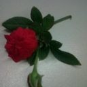 Laura cura - @Laura28Cura - Twitter